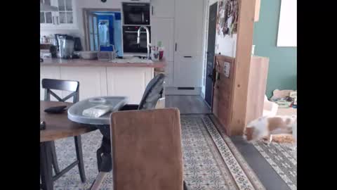 Newelixyr online show from February 2026 11:31:02 AM