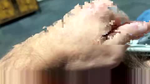 ngianop online show from February 2025 07:40:01 AM