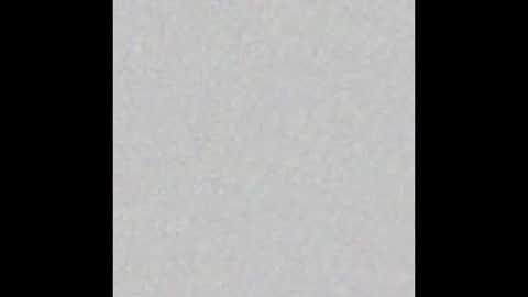 Snapshot of nia__s chatting on December 2025 12:09:01 PM Nia online show from December 2025 12:09:01 PM