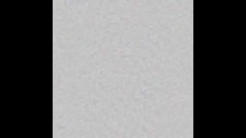 Snapshot of nia__s chatting on January 2026 11:36:02 AM Nia online show from January 2026 11:36:02 AM