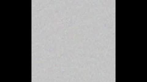 Snapshot of nia__s chatting on January 2026 11:34:02 AM Nia online show from January 2026 11:34:02 AM