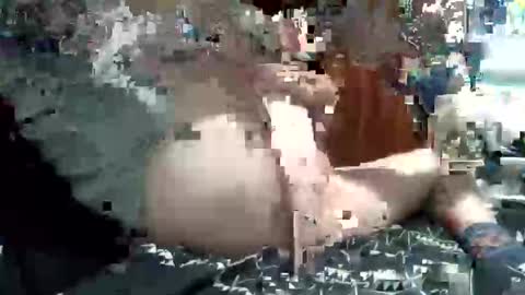 nic2nite online show from February 2026 11:53:02 PM