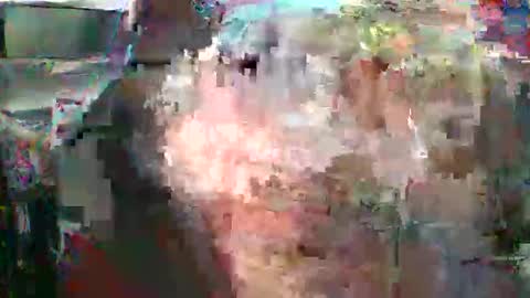 nick stavrou online show from February 2026 04:41:01 AM