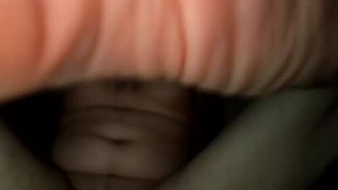 nicholasweber21 online show from October 2025 01:52:02 AM