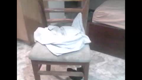 TheCock online show from February 2026 11:58:01 AM