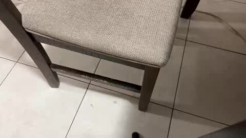 Carlos Nico online show from March 2026 09:38:02 AM