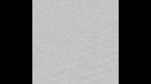 Nicolas Caged online show from March 2026 06:47:02 AM