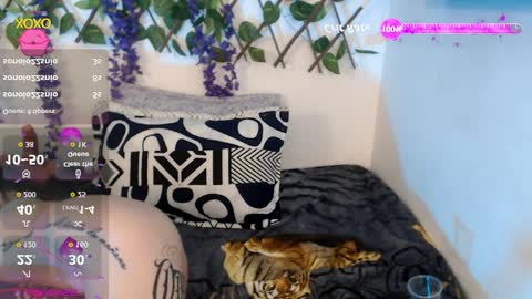 Nicolle ardila online show from April 2026 10:25:02 PM