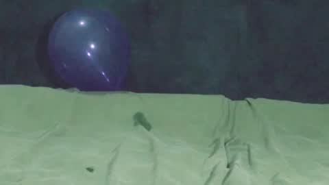 Snapshot of nightqueen69 chatting on November 2025 06:46:02 PM Watch us Fuck online show from November 2025 06:46:02 PM