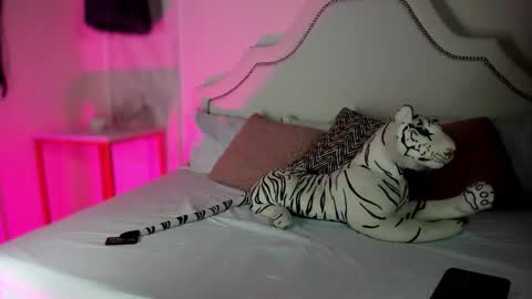 Snapshot of niicole_garnerr chatting on February 2026 03:05:01 PM nicole online show from February 2026 03:05:01 PM