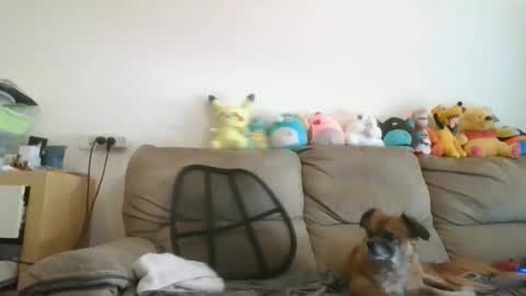 Brian and Logan Brogan online show from November 2025 07:52:02 AM