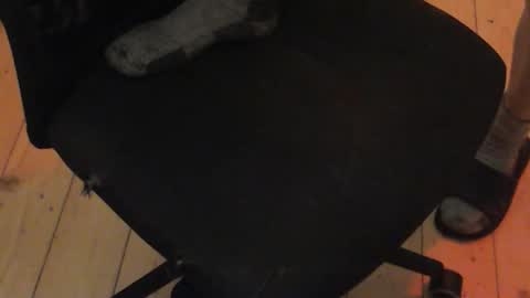 Snapshot of nikitalo chatting on October 2025 04:36:01 AM nikitalo online show from October 2025 04:36:01 AM