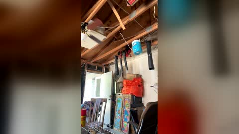 Nikkie online show from April 2026 07:12:02 PM