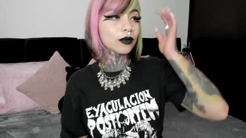 Nikki Ramone   online show from January 2025 11:48:01 AM