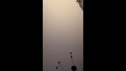 neighbours online show from January 2026 12:14:02 AM