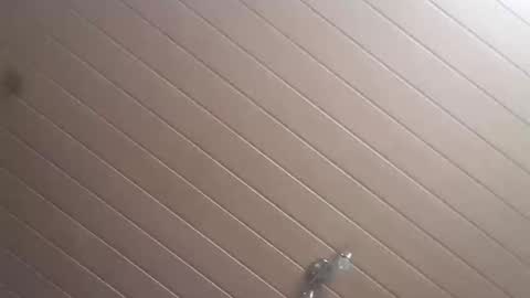 niko8787878 online show from October 2025 10:00:02 AM