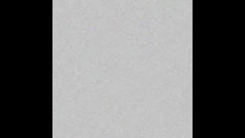    online show from January 2026 03:31:02 AM