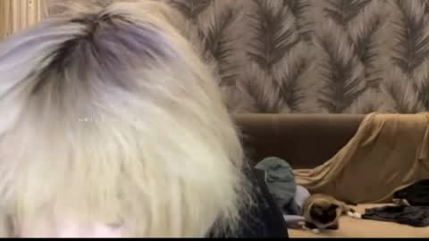 nikoli_naw online show from June 2026 07:45:01 PM