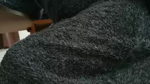 nineinchhard online show from October 2025 10:19:02 AM