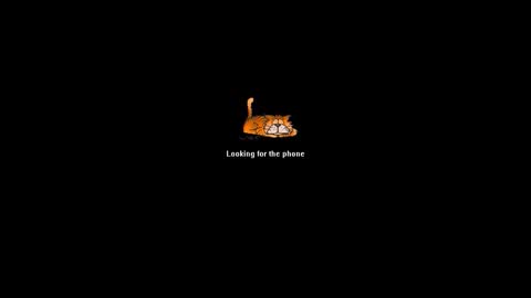 Ninfo Puta online show from June 2026 10:49:01 AM