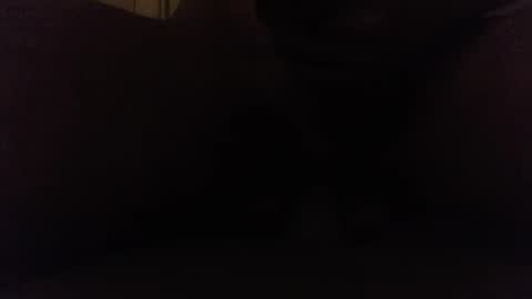 Ninjadance online show from October 2025 08:12:01 AM