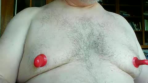 Nip Fun Bear online show from March 2025 10:45:02 PM