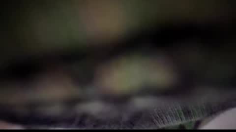 Snapshot of nloraaa chatting on February 2025 05:08:01 AM Tears Lora online show from February 2025 05:08:01 AM