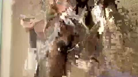 nnm110 online show from February 2025 09:37:01 AM