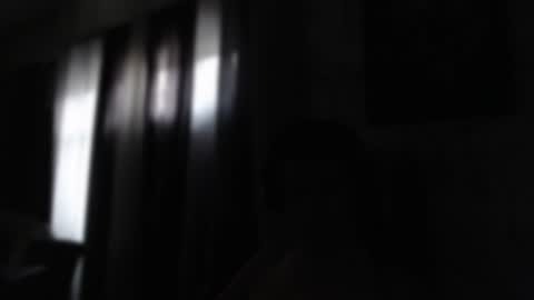 Sebastian online show from January 2025 12:30:01 PM