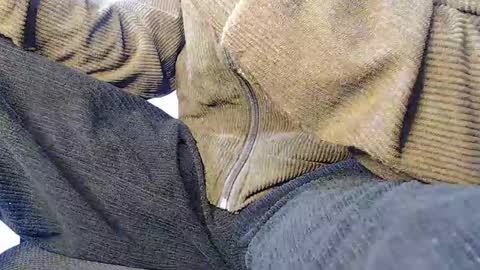 Noah Millers online show from January 2025 08:30:02 AM