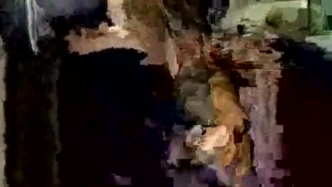 nocturnus1980 online show from December 2025 04:06:01 AM