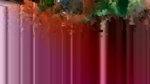 nocturnus1980 online show from January 2026 05:44:02 AM