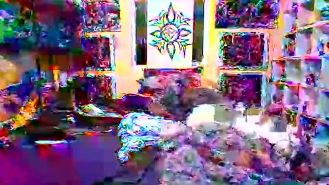 Jonny Coxman online show from December 2025 02:24:01 PM