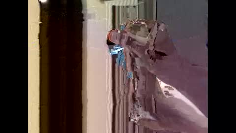 nolplus online show from September 2025 04:36:02 AM