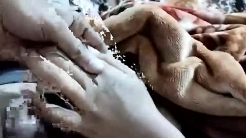 Snapshot of nooby942461 chatting on February 2026 01:15:01 AM sim nib online show from February 2026 01:15:01 AM