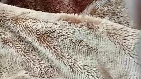 Snapshot of nooby942461 chatting on February 2026 07:23:02 PM sim nib online show from February 2026 07:23:02 PM