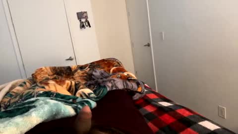 se le perdio algo perra hp online show from January 2025 04:24:01 PM