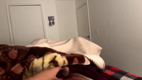 se le perdio algo perra hp online show from February 2025 08:06:01 AM