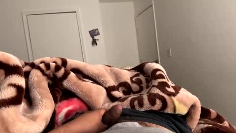 se le perdio algo perra hp online show from March 2025 08:13:01 AM