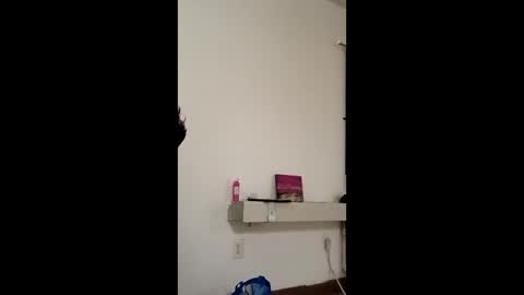 notmedesigned online show from March 2026 09:34:02 AM