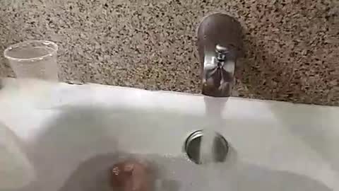 Snapshot of nowornever669 chatting on September 2025 02:29:02 PM CLOUDYKINF online show from September 2025 02:29:02 PM