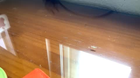 Snapshot of nudistadepilado chatting on September 2025 10:04:01 AM nudistadepilado online show from September 2025 10:04:01 AM