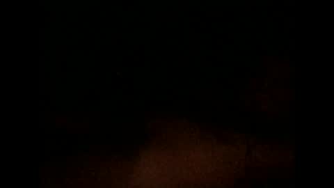 Snapshot of nxleon chatting on December 2024 11:36:02 AM nxleon online show from December 2024 11:36:02 AM