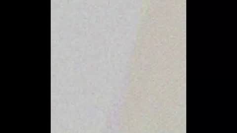 nycsupplier online show from February 2026 01:12:02 PM