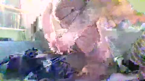 Snapshot of nylonloversffm chatting on January 2026 07:17:01 PM NYlonloversFFM online show from January 2026 07:17:01 PM