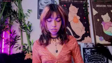   online show from March 2026 07:42:01 PM