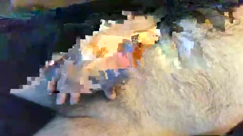 o269x2 online show from May 2026 10:12:02 AM