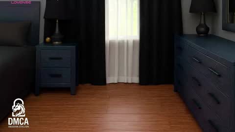 Obsidian stallion online show from December 2025 10:26:02 PM