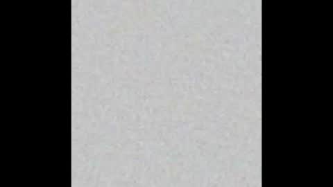 Obsidian stallion online show from February 2026 08:07:01 AM