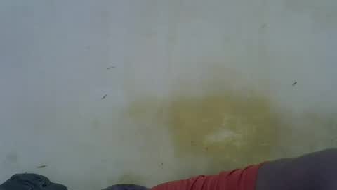 Snapshot of oceanwavves chatting on May 2026 11:46:02 PM Paloma online show from May 2026 11:46:02 PM